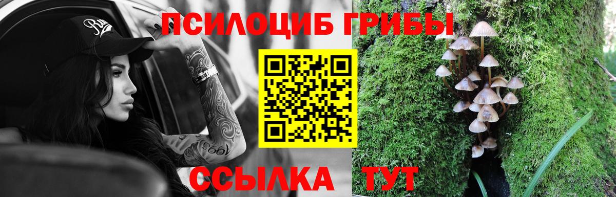 Псилоцибиновые грибы прущие грибы  Вход с VPN  Галлюциногенные грибы мухоморы  Татарск 